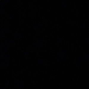 Meet your Posher, Meghan